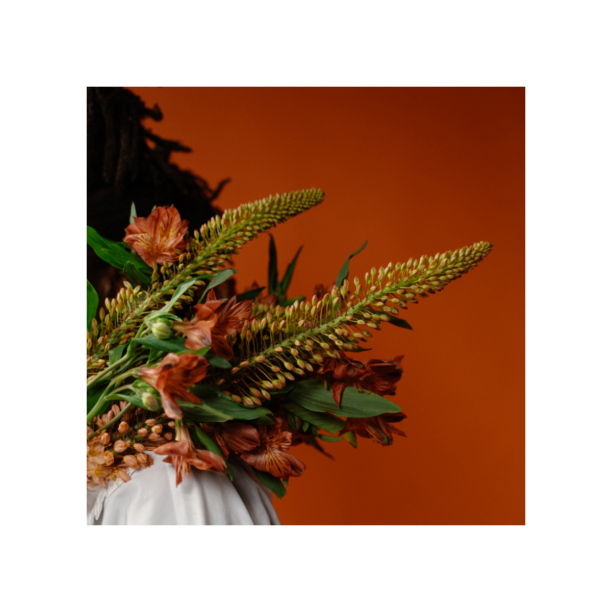 David Gramberg - Image 2